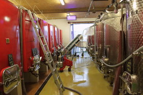Winery - Working atmosphere 